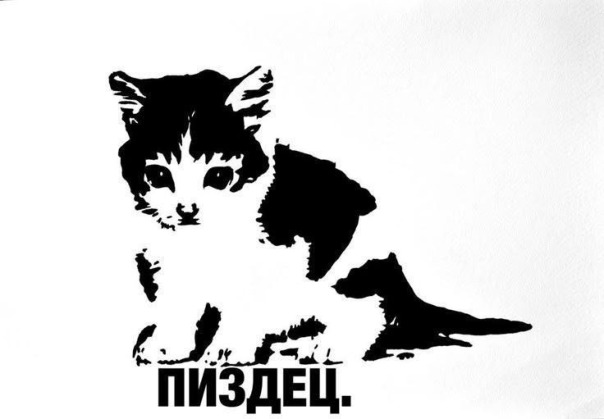 Фотографии со стены