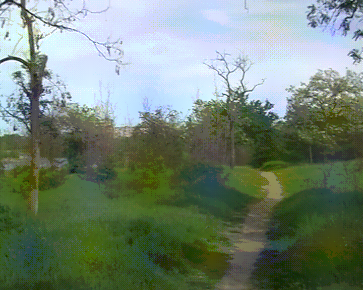 Майская прогулка возле реки Саксагань