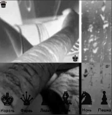 Фотографии со страницы