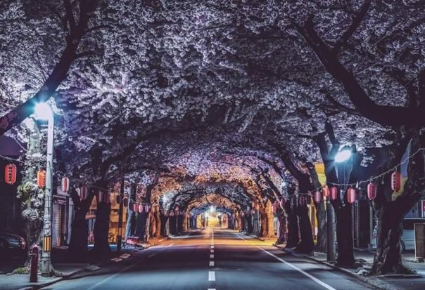 Аомори, Япония...