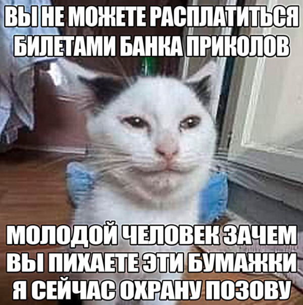 Фотографии со стены