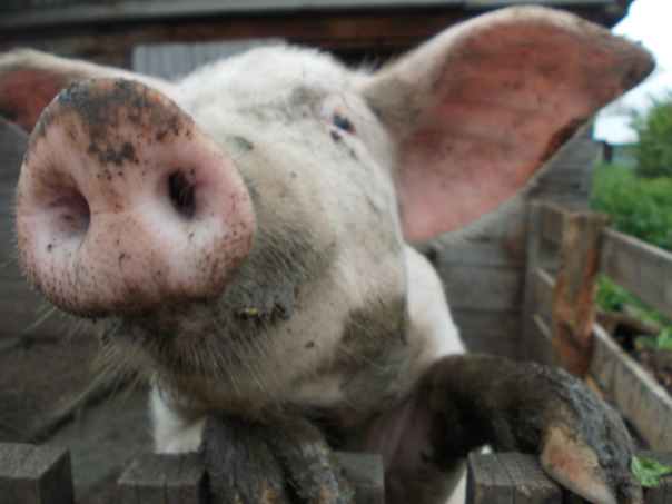 Фотографии со страницы