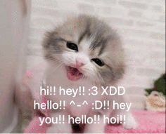 Вилли Вайвилли