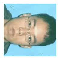 Фотографии со страницы