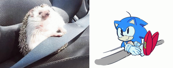 #sonic

Оригинал: https://twitter....