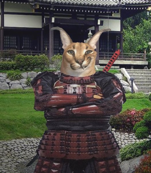 Шлёпа-самурай...