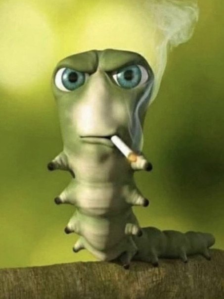 Никита Кувшинов