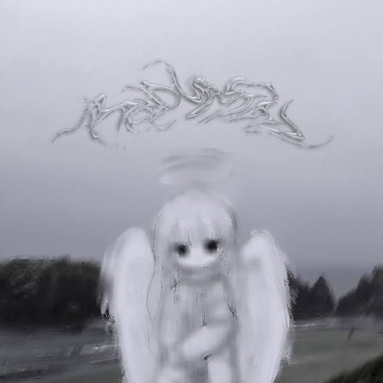 Фотографии со страницы