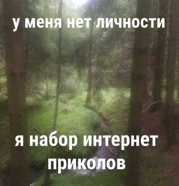 Фотографии со стены