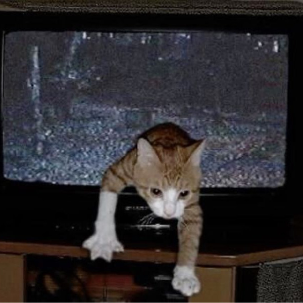 Елизавета Верозуб-Дружинина