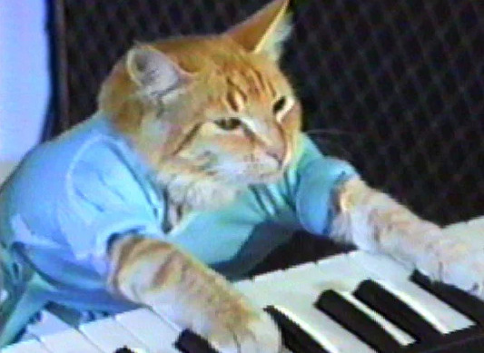 Фотографии со страницы