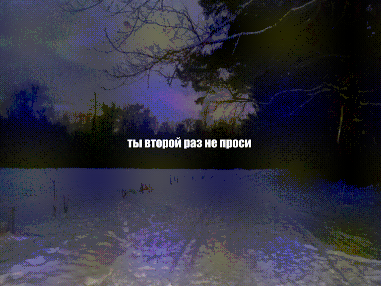 zavet - день и ночь