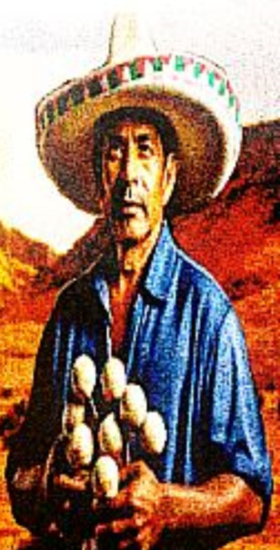 Profile backdrop (system)...