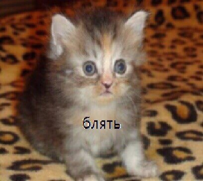 Фурфруеб Пикипекович