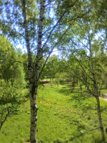 Фотографии со стены