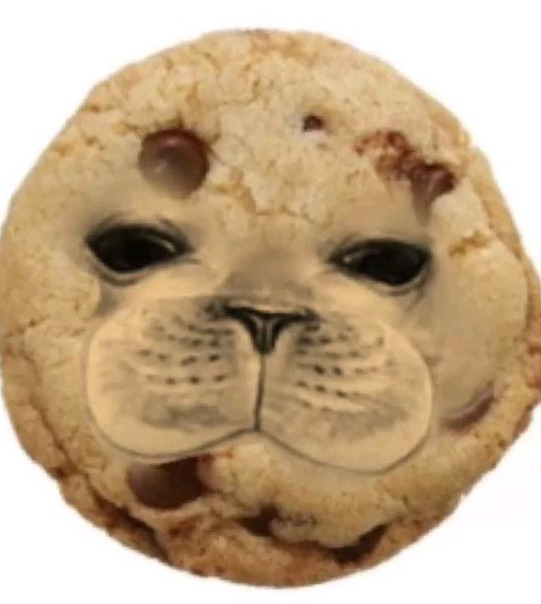 Анна Ромашка