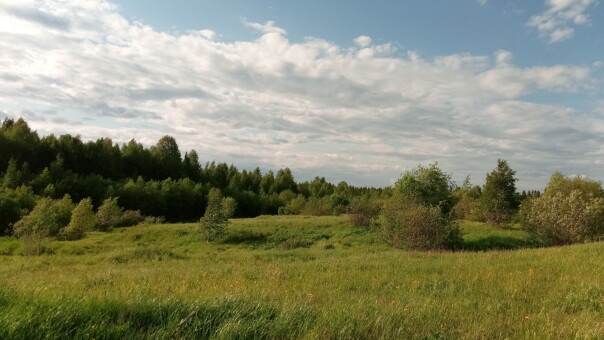 Лето, куда же ты бежишь, сволочь?! В...