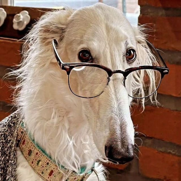 Фотографии со страницы