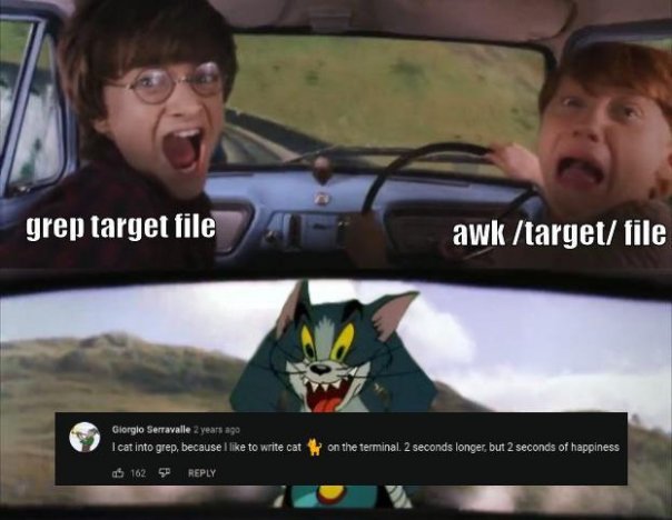 chaotic wholesome
...