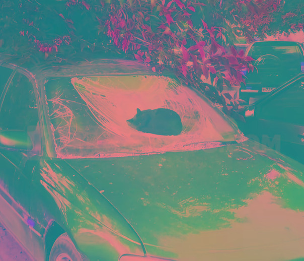 Фотографии со страницы