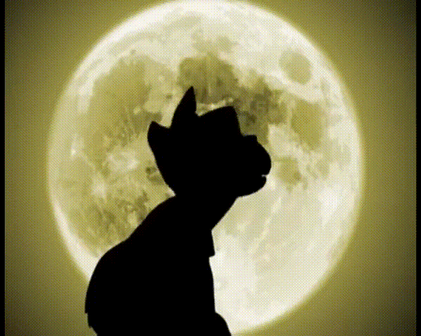 Jamster! - Mad Dawgz Where My Dawgz At [HD]