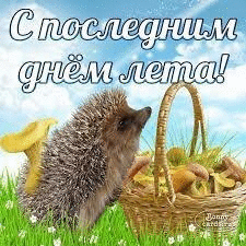 Фотографии со стены