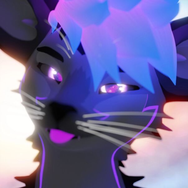 Фотографии со страницы