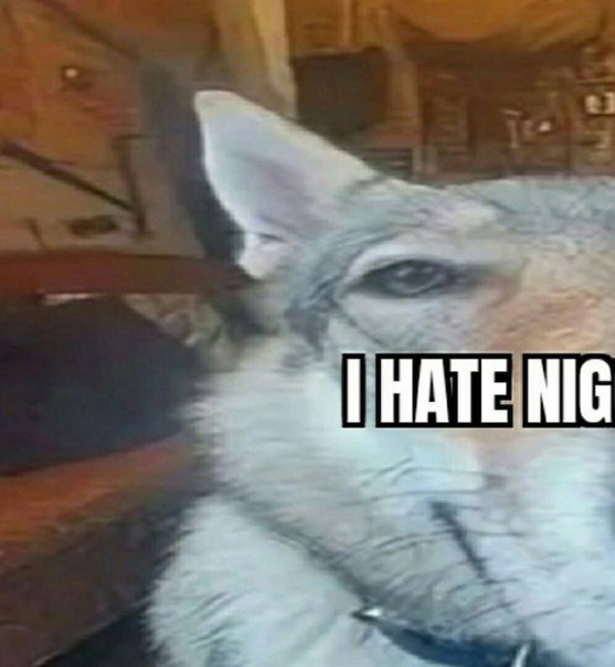 Сай Онигирев