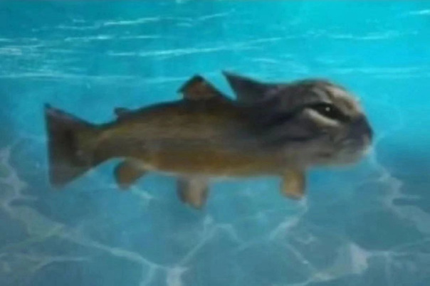 Люся Федорова