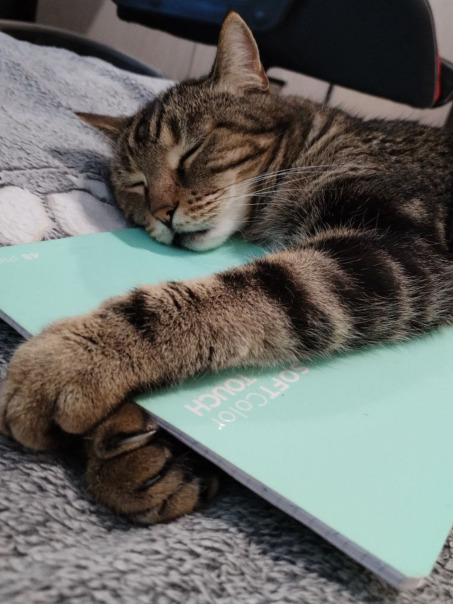 Фотографии со страницы