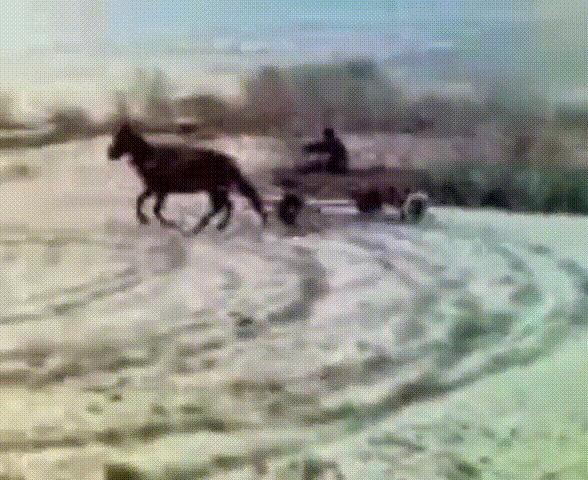 Конячий дрифт