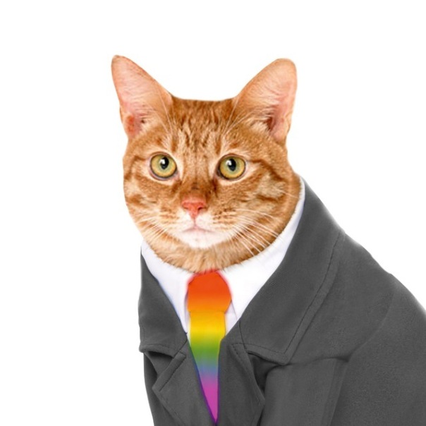 Глеб Овсянкин