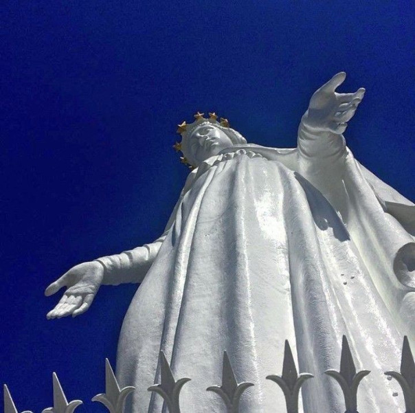 Фотографии со страницы