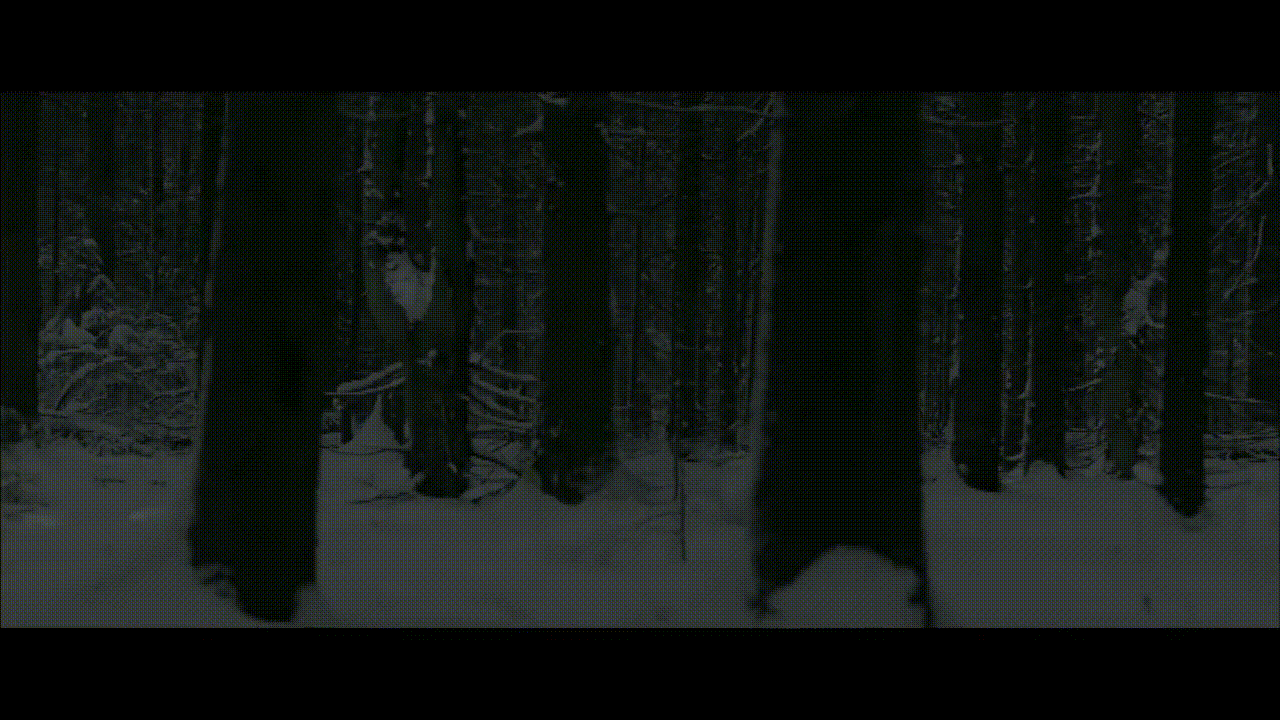 Ну что с того, что я там был... (Антон Сазонов, 2017)