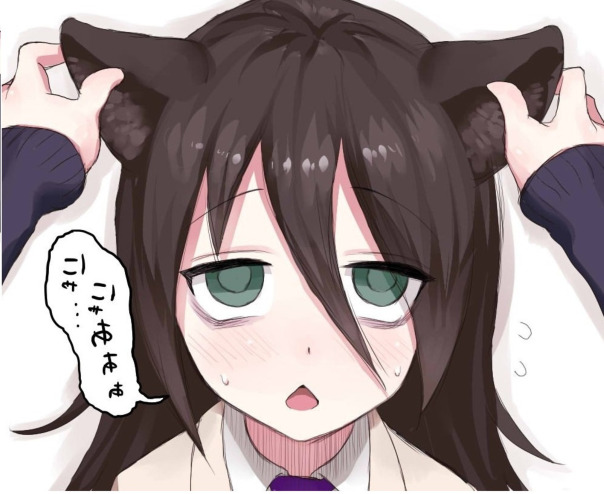 Фотографии со страницы