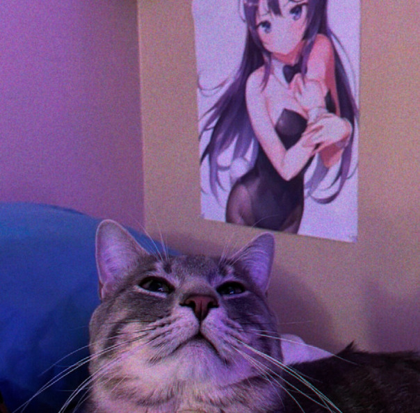 Ураганчик Темплейт