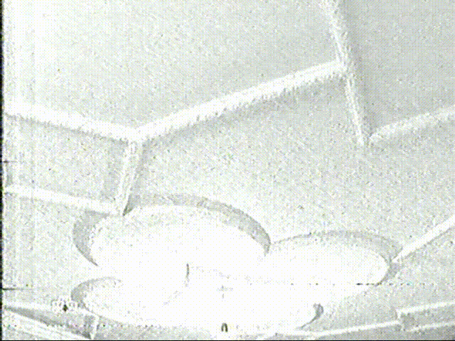 Квартирный вопрос (НТВ, ~2012) фрагмент