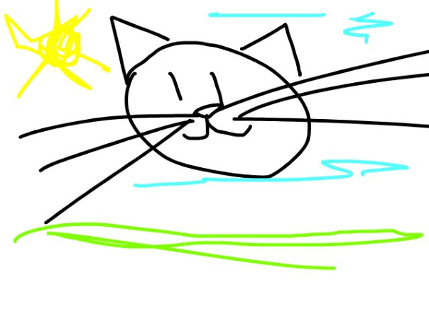 Фотографии со стены