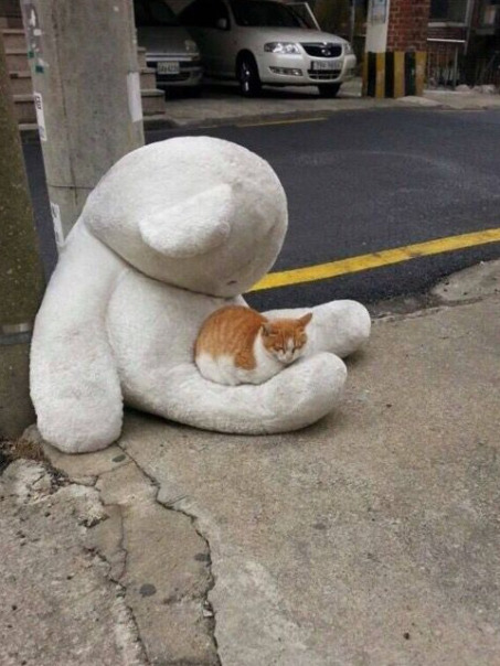 Фотографии со страницы