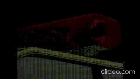 АНИМЕ Вы арестованы 1 сезон 11 серия