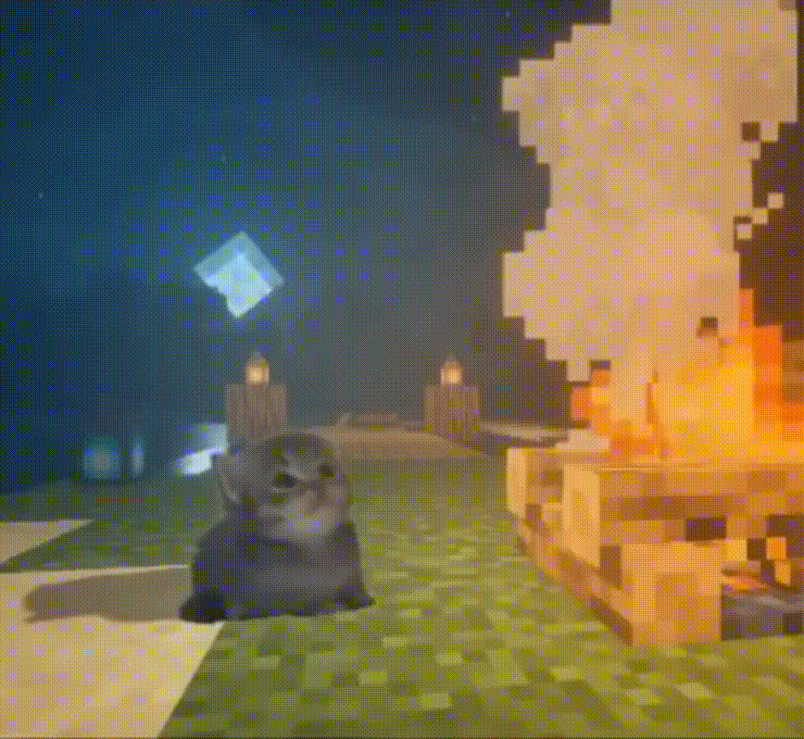 кот у костра