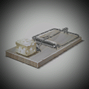 I could climb that tree, I'd never g...