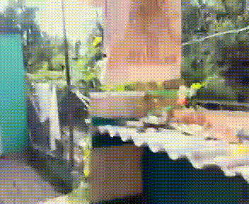 БАРЯ БАРЯ БАБУШКААА!!! XD