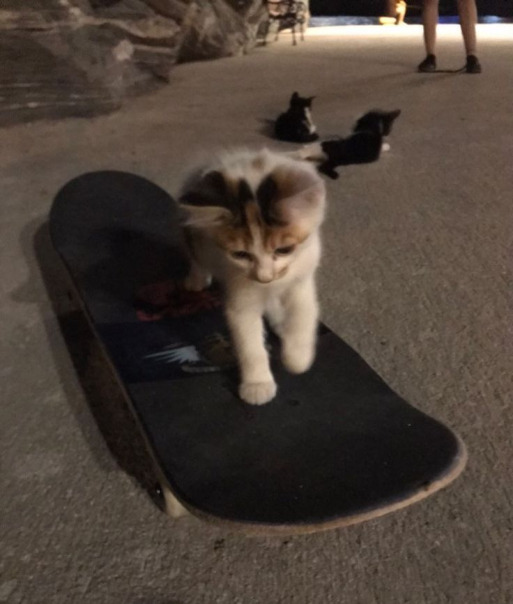 Настя Бледная