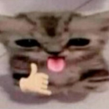 Фотографии со страницы