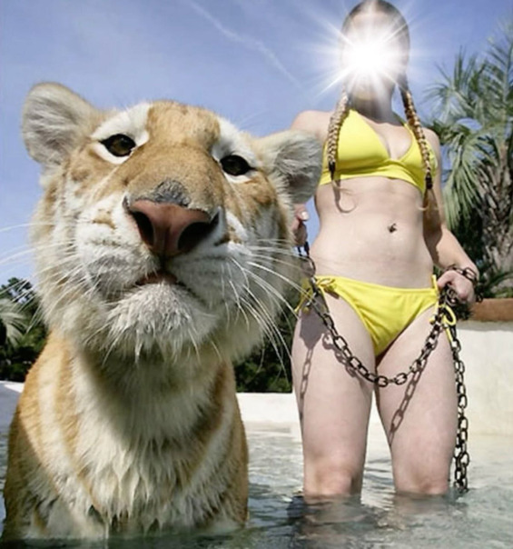 Тимурчик Велмо