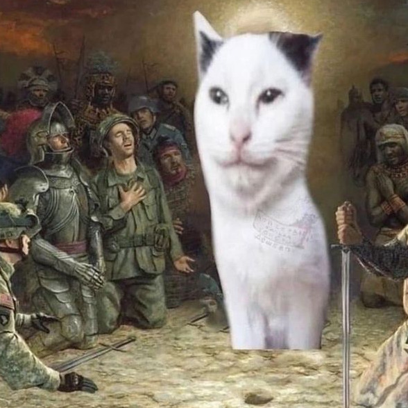 Фотографии со страницы