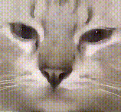 Привет из 2010