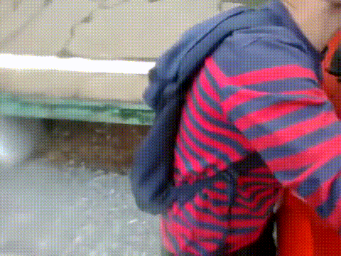 Едем в Египет! =D