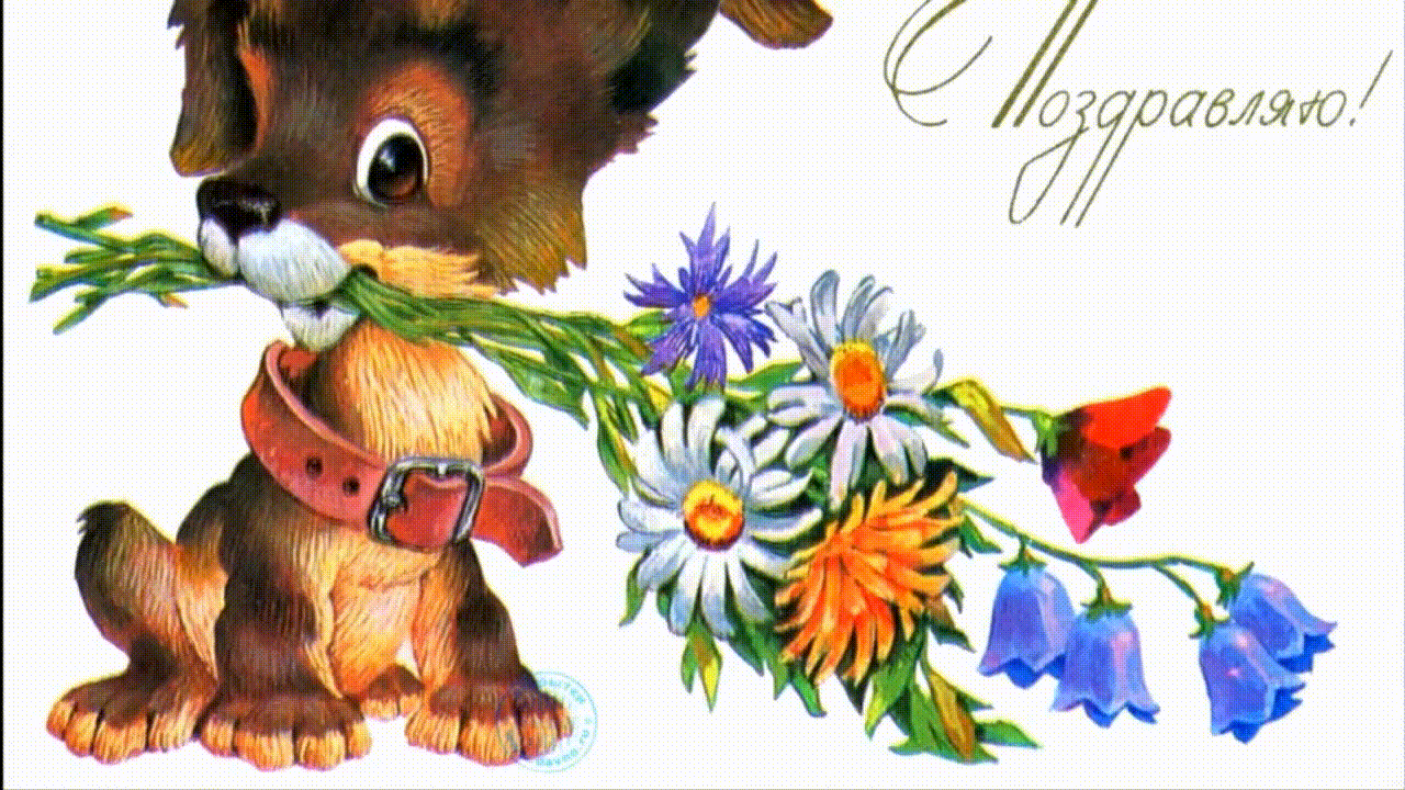 Zoobe Зайка с днём рождения-ия-ия